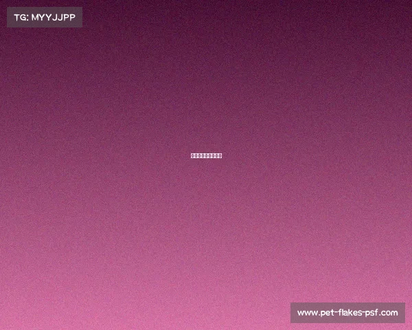 自行车赛事运营公司