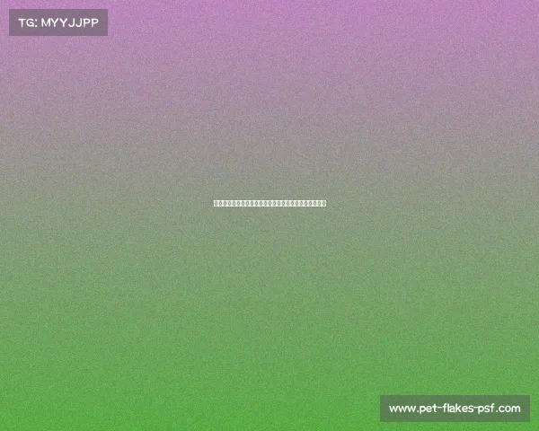 全球健美赛事巅峰之战顶尖选手肌肉力量与美的传奇盛典