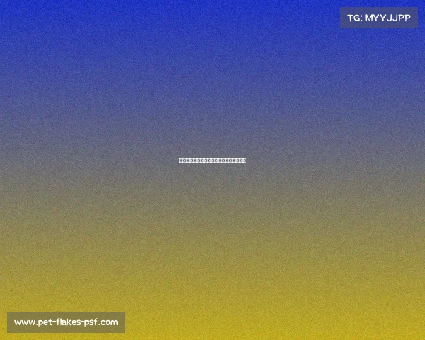 男篮赛事激情对决新时代篮球风暴席卷全球