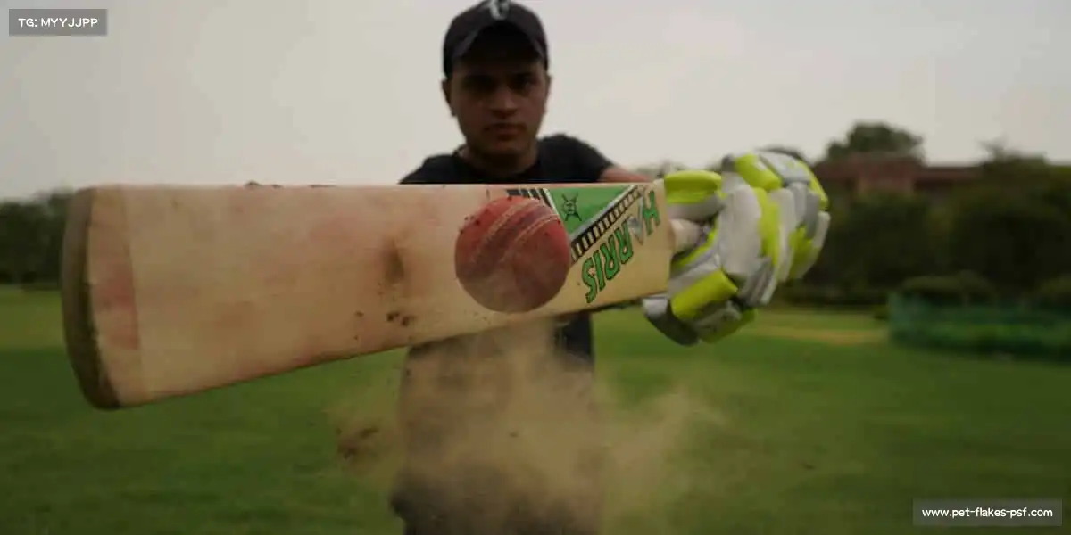 奇趣腾讯分分计划软件——💥爆发潜能，挑战不可能！